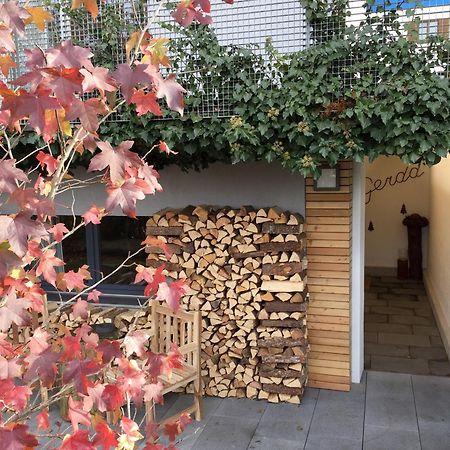 Gerda Wellness Apartment Grinzens エクステリア 写真